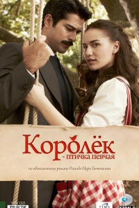 Подробнее о турецком сериале «Королёк – птичка певчая»